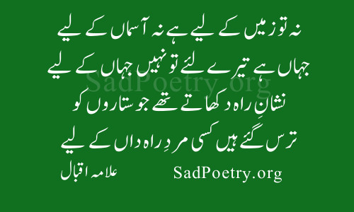 نہ تو زمیں كے لیے ہے نہ آسمان كے لیے | SadPoetry.org