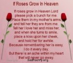 If Roses Grow In Heaven | Death Poems | SadPoetry.org