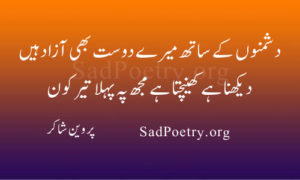 Dushmano Ke Sath Mere Dost | SadPoetry.org