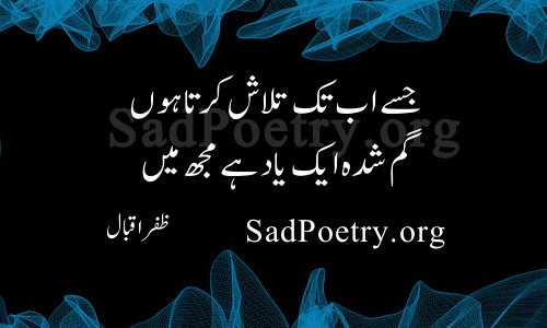 Zafar Iqbal Poetry Books Free Download